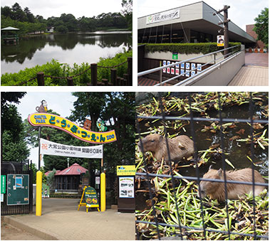 大宮公園小動物園